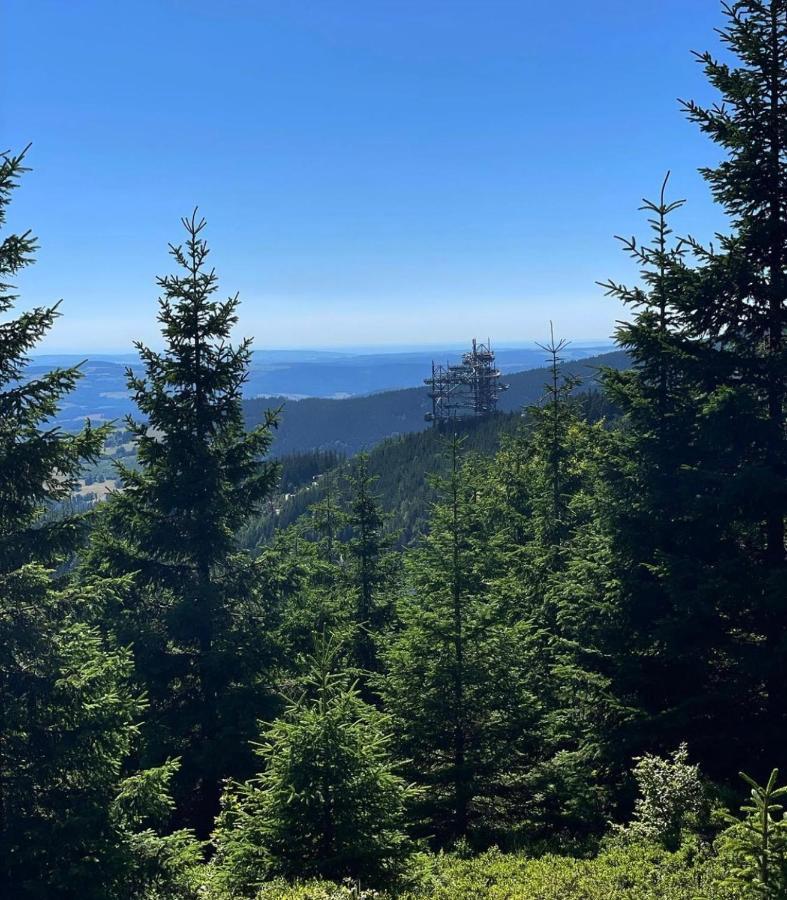 Prima Apartman Dolní Morava Buitenkant foto
